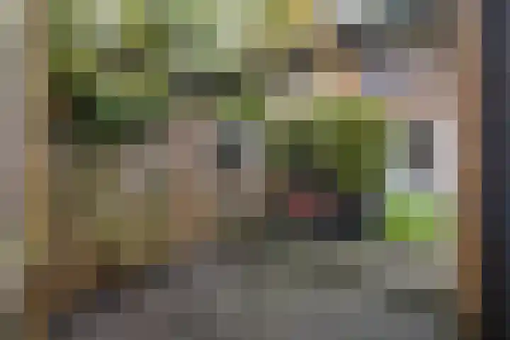 Sodawater 38 Houten thumbnail 43