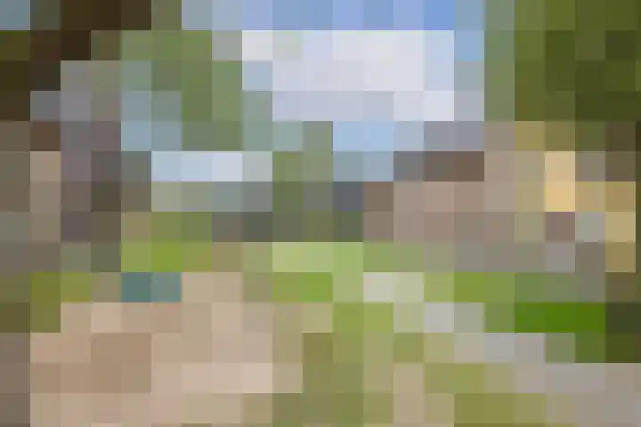 Sodawater 38 Houten thumbnail 44