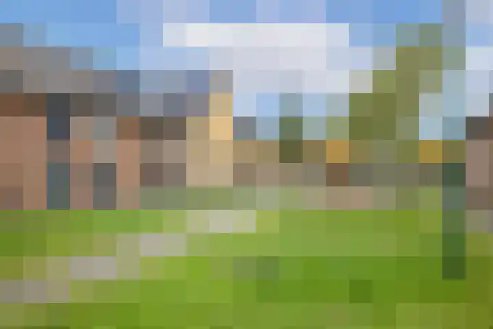 Sodawater 38 Houten thumbnail 45