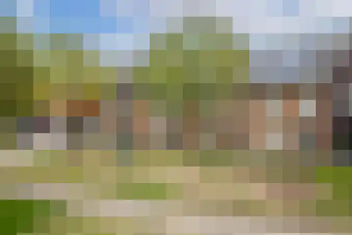 Sodawater 38 Houten thumbnail 46