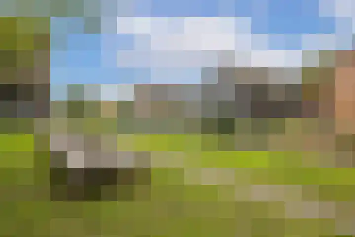 Sodawater 38 Houten thumbnail 48