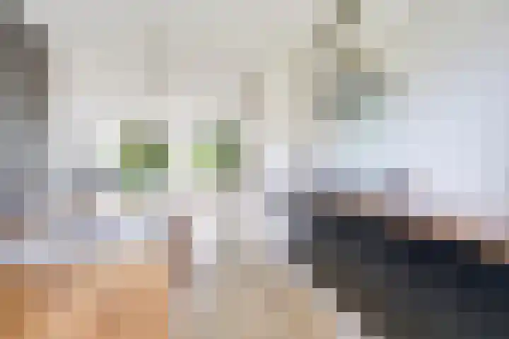 Sodawater 49 Houten thumbnail 10