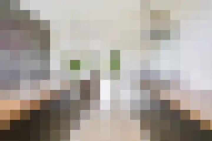 Sodawater 49 Houten thumbnail 11