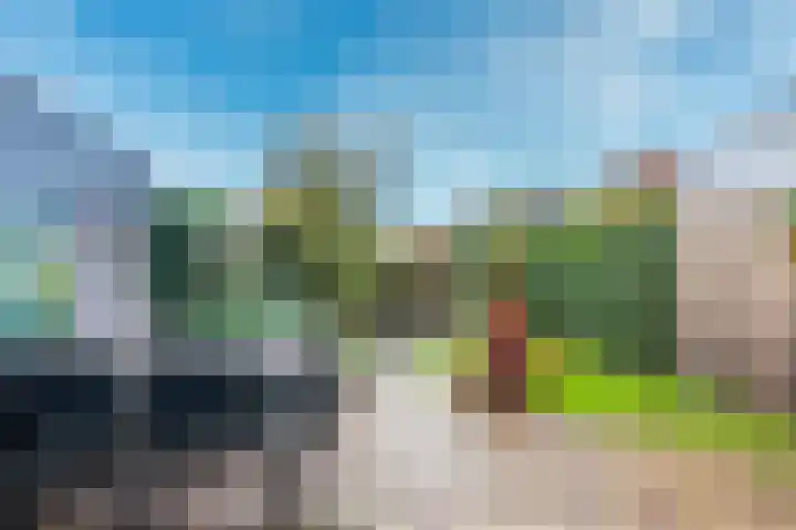 Sodawater 49 Houten thumbnail 12