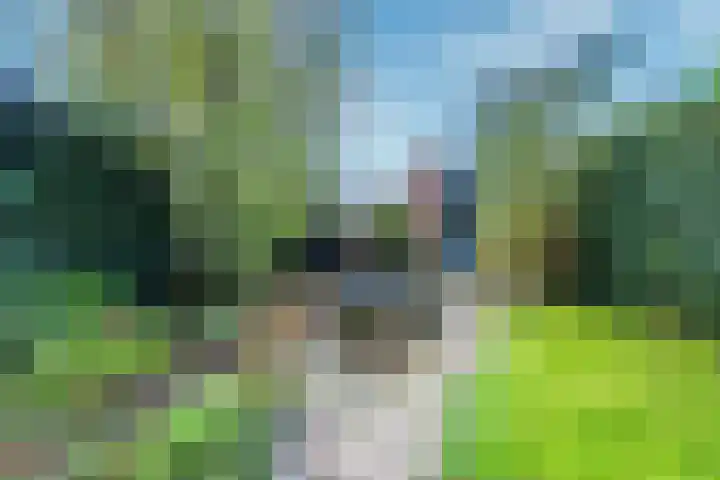 Sodawater 49 Houten thumbnail 14