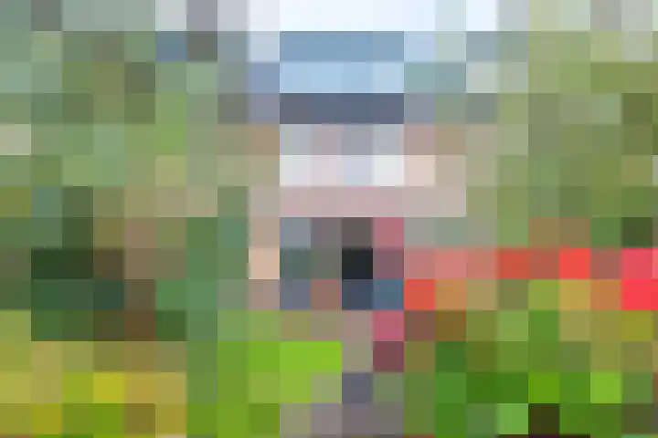 Sodawater 49 Houten thumbnail 16