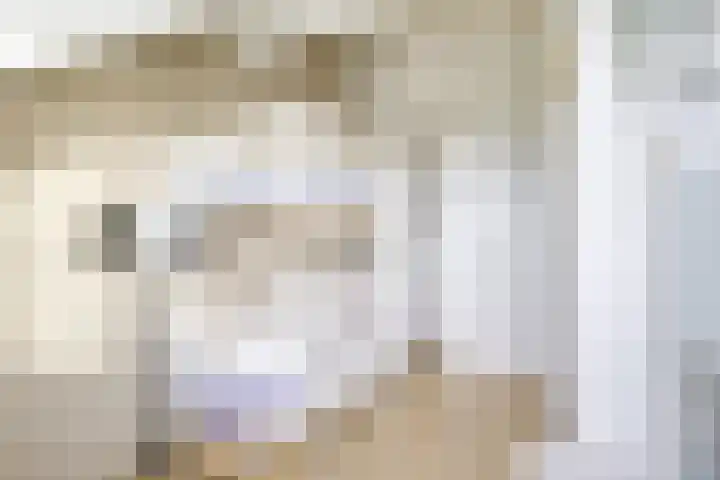 Sodawater 49 Houten thumbnail 33