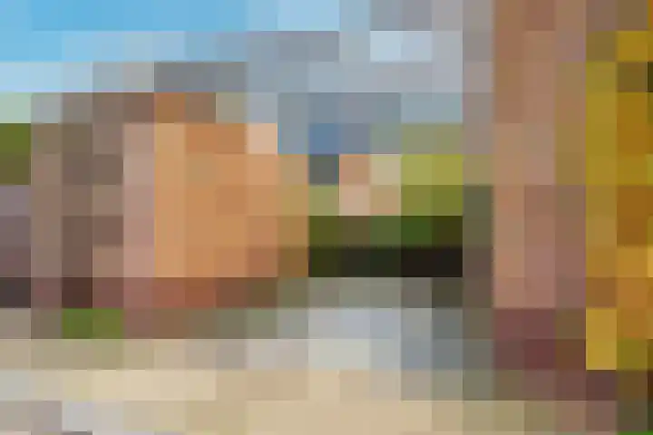 Sodawater 49 Houten thumbnail 43