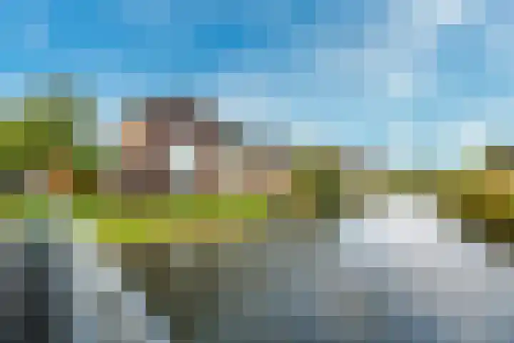 Sodawater 49 Houten thumbnail 44