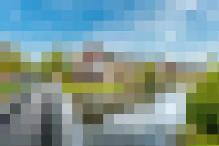 Sodawater 49 Houten thumbnail 45