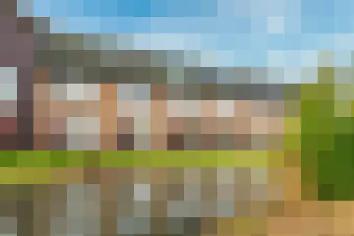 Sodawater 49 Houten thumbnail 46