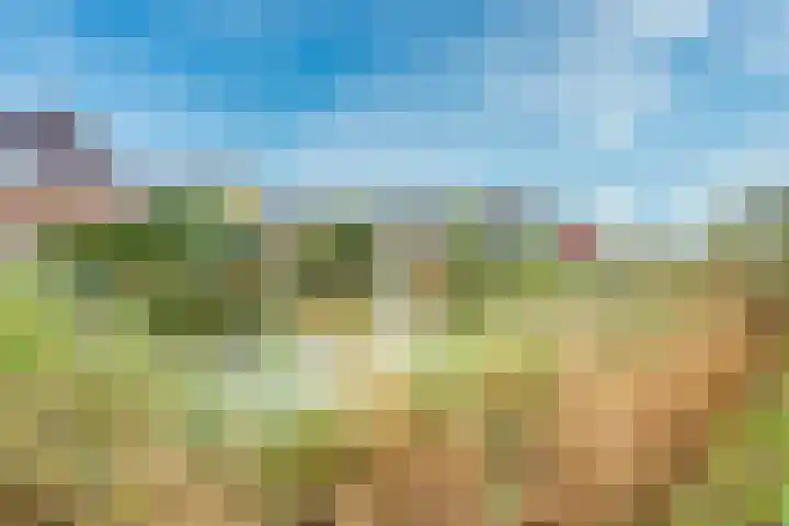 Sodawater 49 Houten thumbnail 47