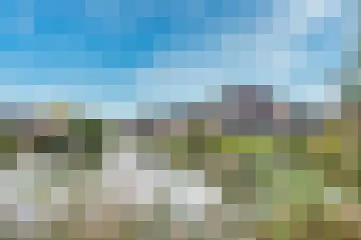 Sodawater 49 Houten thumbnail 48
