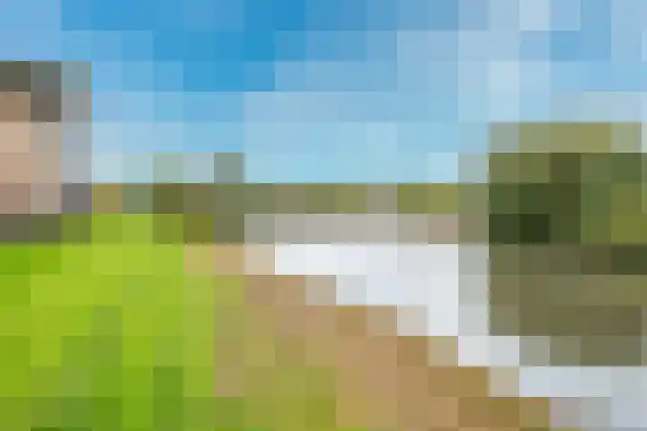 Sodawater 49 Houten thumbnail 49