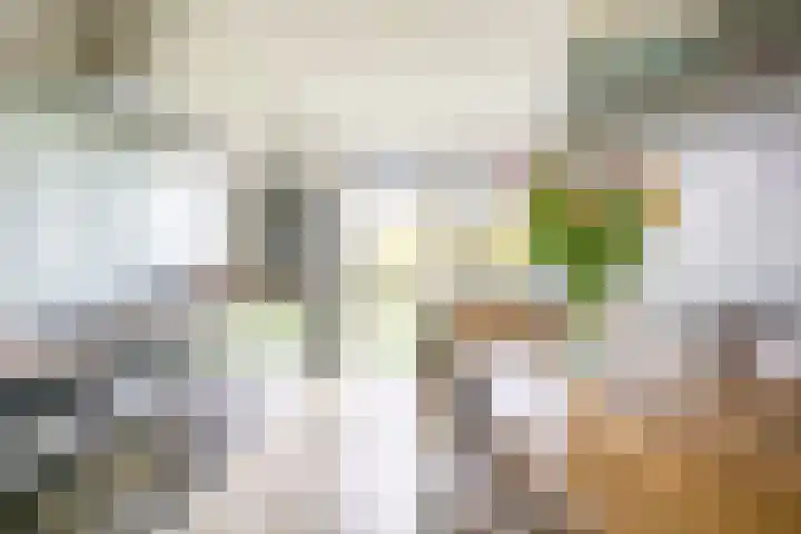 Sodawater 49 Houten thumbnail 9