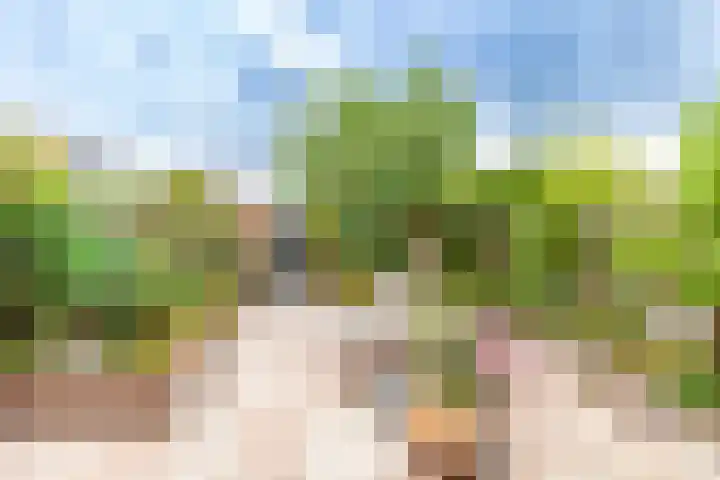 Sodawater 9 Houten thumbnail 12