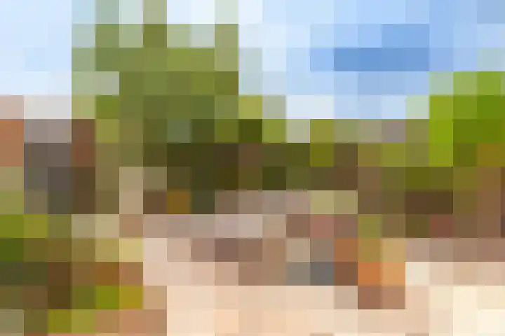 Sodawater 9 Houten thumbnail 13