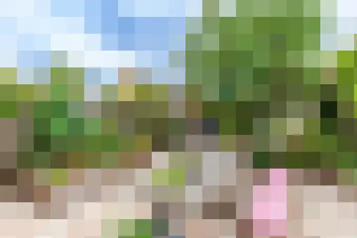 Sodawater 9 Houten thumbnail 14