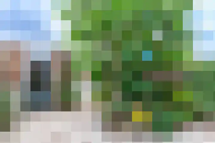 Sodawater 9 Houten thumbnail 15