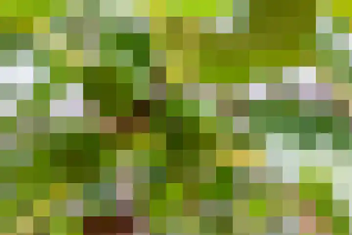 Sodawater 9 Houten thumbnail 16