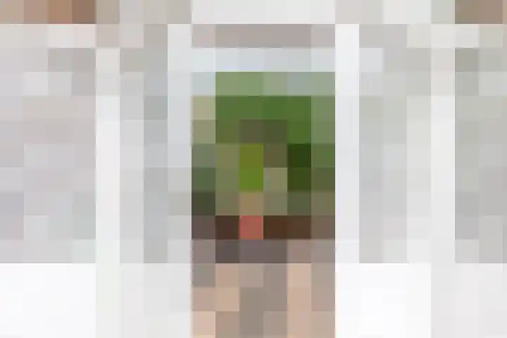 Sodawater 9 Houten thumbnail 19