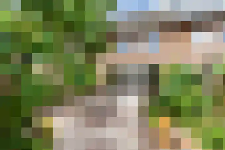 Sodawater 9 Houten thumbnail 21