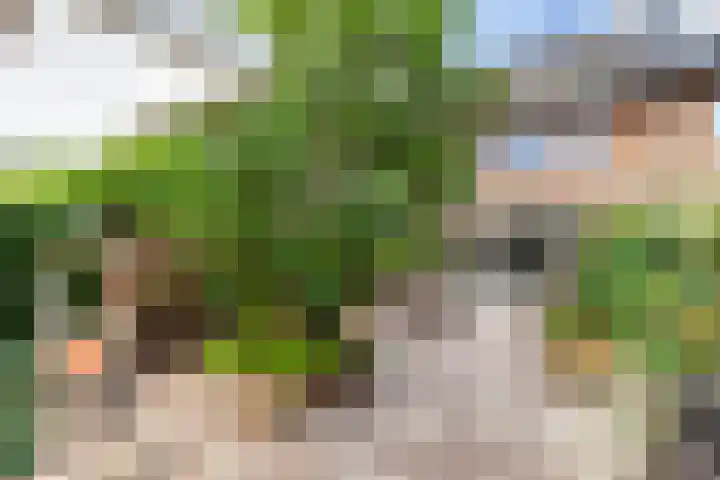 Sodawater 9 Houten thumbnail 22
