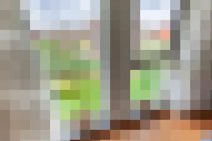 Sodawater 9 Houten thumbnail 27