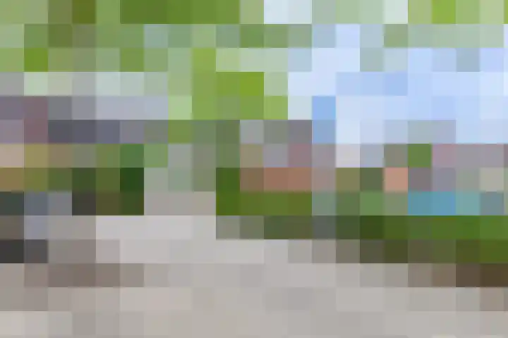 Sodawater 9 Houten thumbnail 37