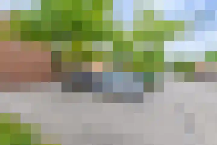 Sodawater 9 Houten thumbnail 38