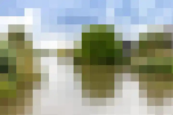 Sodawater 9 Houten thumbnail 40
