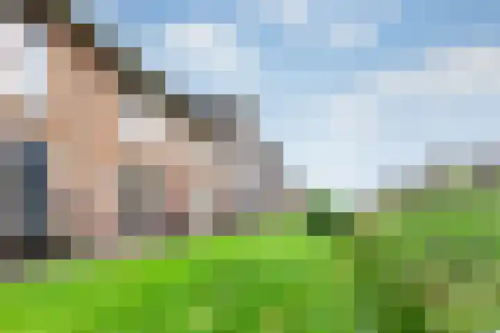 Sodawater 9 Houten thumbnail 41