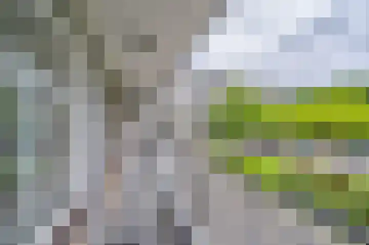 Söderblomplaats 412 Rotterdam thumbnail 18