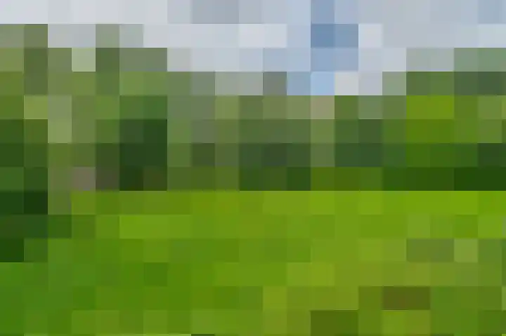 Söderblomplaats 412 Rotterdam thumbnail 19