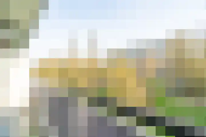 Söderblomplaats 444 Rotterdam thumbnail 11