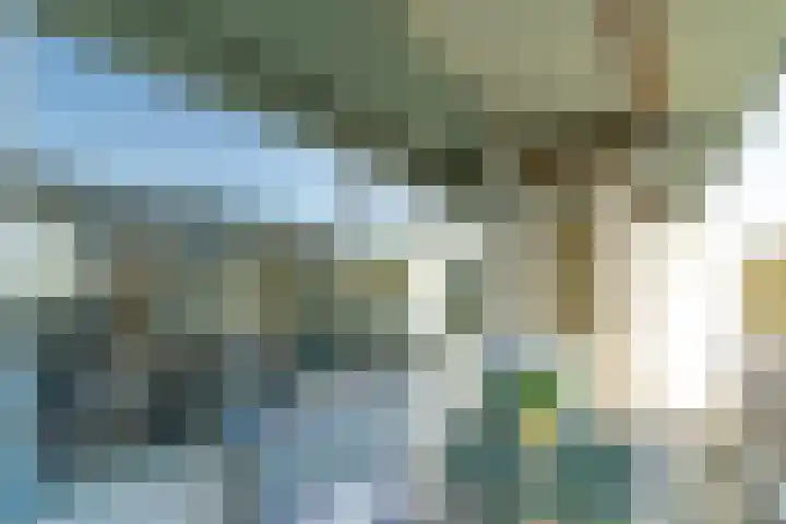 Söderblomplaats 444 Rotterdam thumbnail 12