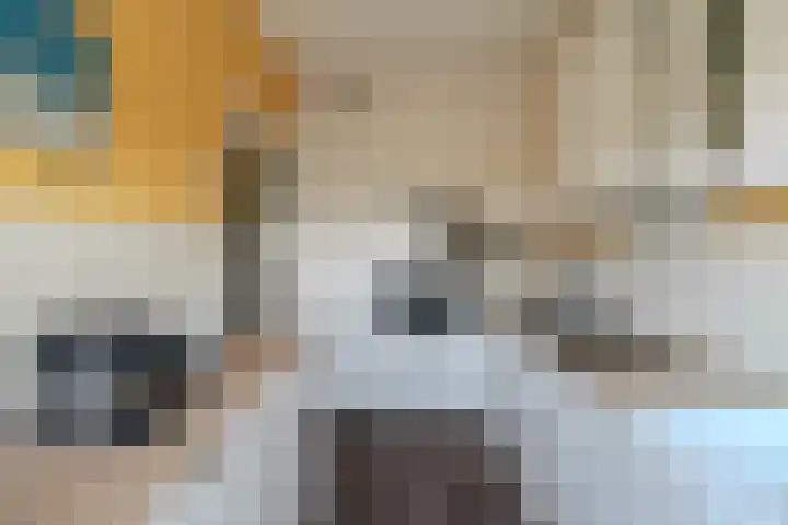 Söderblomplaats 444 Rotterdam thumbnail 15