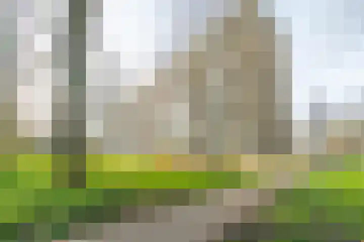 Söderblomplaats 444 Rotterdam thumbnail 25