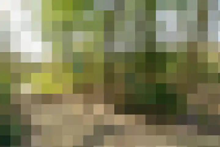 Söderblomplaats 444 Rotterdam thumbnail 26