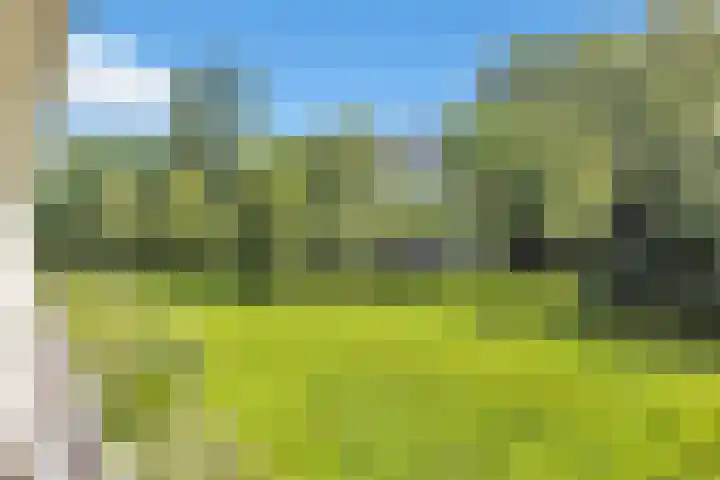 Söderblomplaats 482 Rotterdam thumbnail 32
