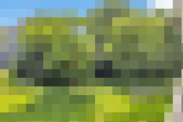 Söderblomplaats 482 Rotterdam thumbnail 33