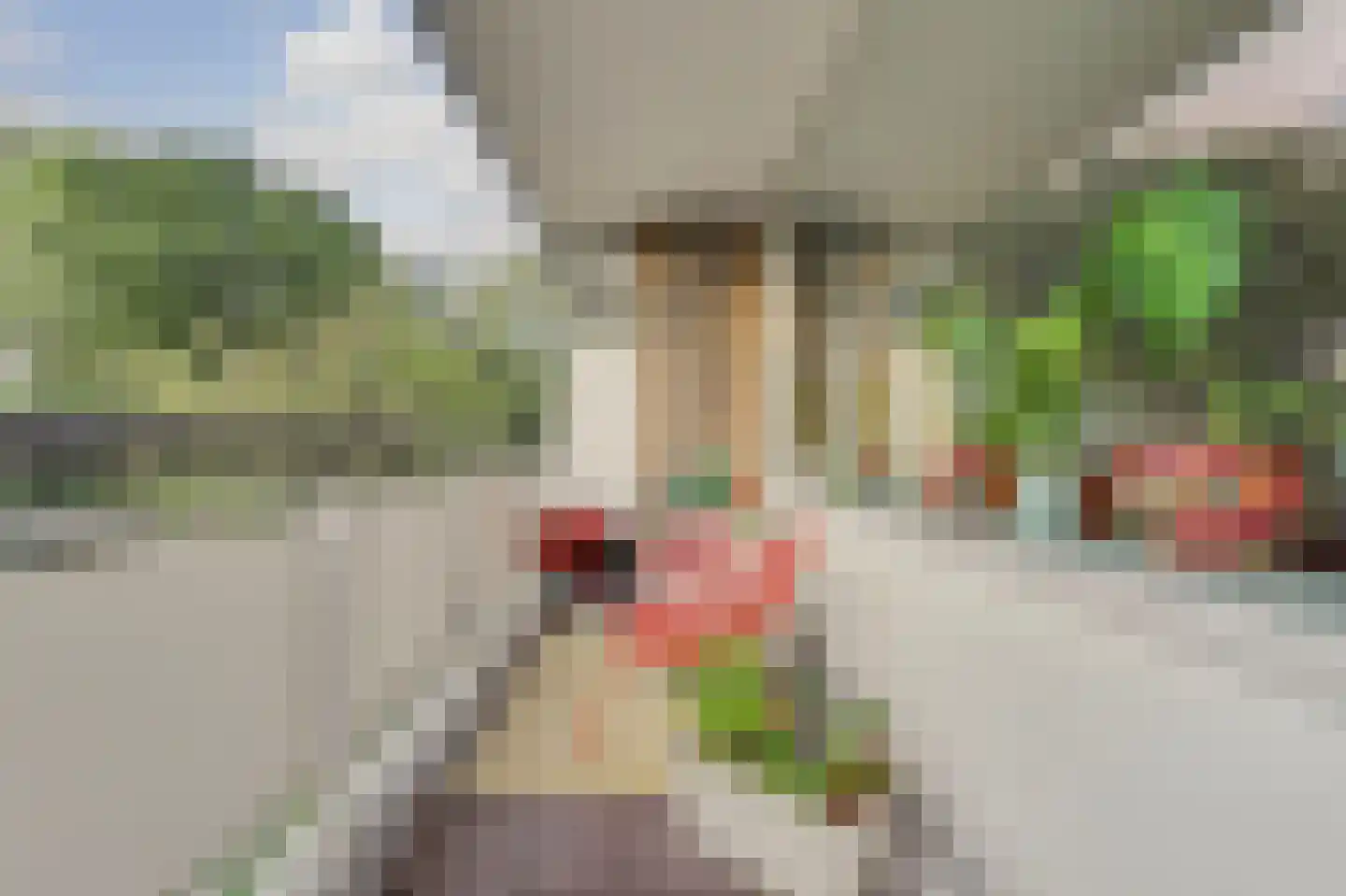 Söderblomplaats 526 Rotterdam thumbnail 15