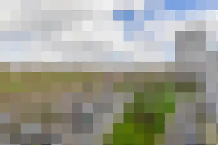 Söderblomplaats 548 Rotterdam thumbnail 14