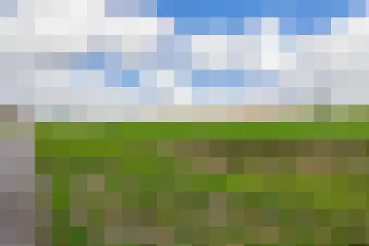 Söderblomplaats 548 Rotterdam thumbnail 32