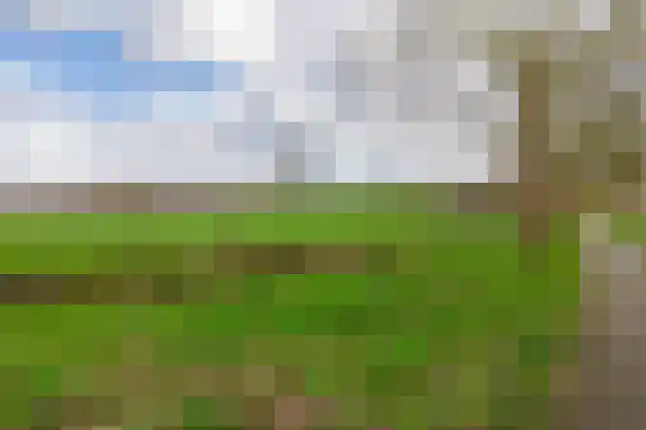 Söderblomplaats 548 Rotterdam thumbnail 5