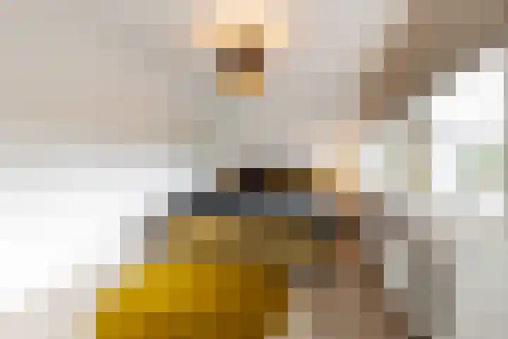 Söderblomplaats 572 Rotterdam thumbnail 13