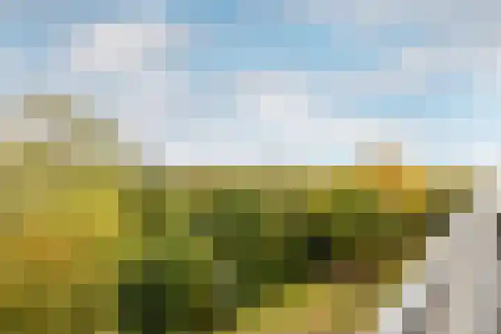 Söderblomplaats 572 Rotterdam thumbnail 17