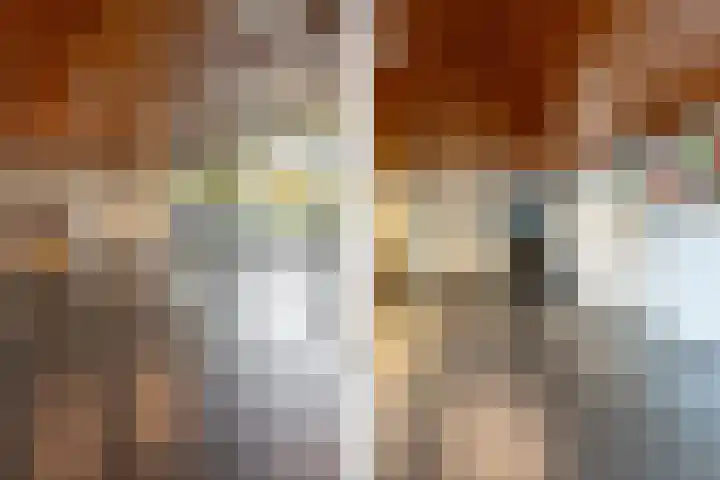 Söderblomplaats 572 Rotterdam thumbnail 20