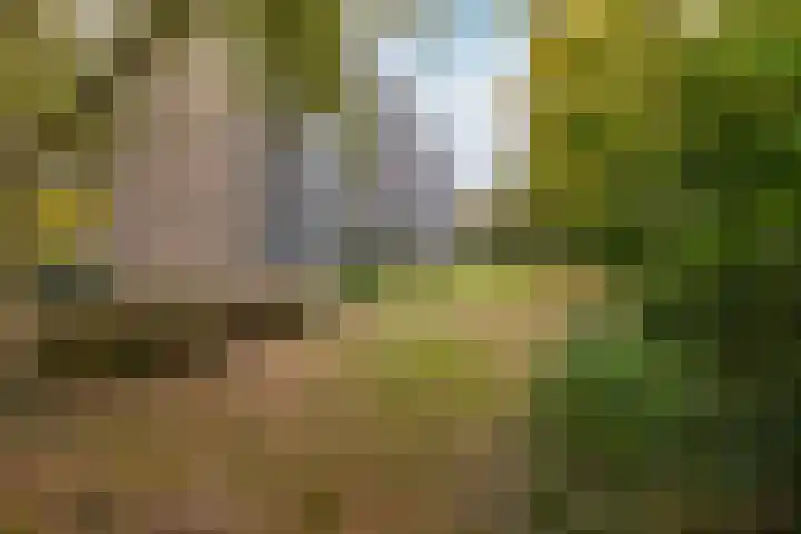 Söderblomplaats 572 Rotterdam thumbnail 21