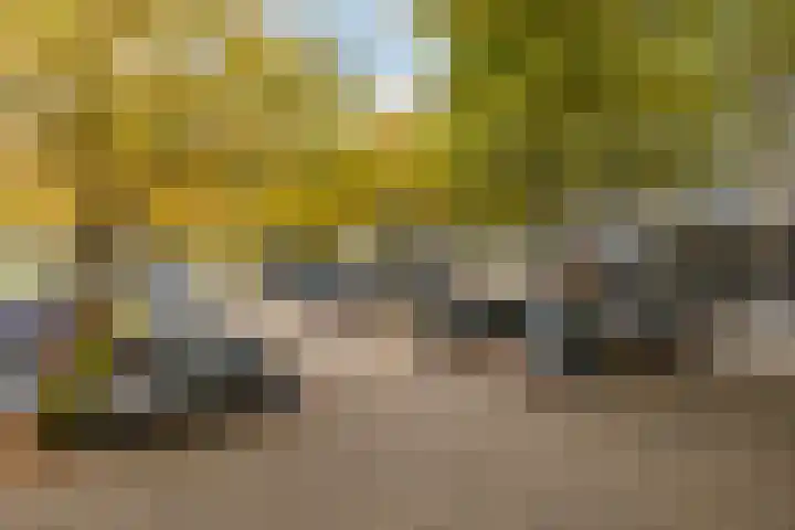 Söderblomplaats 572 Rotterdam thumbnail 22